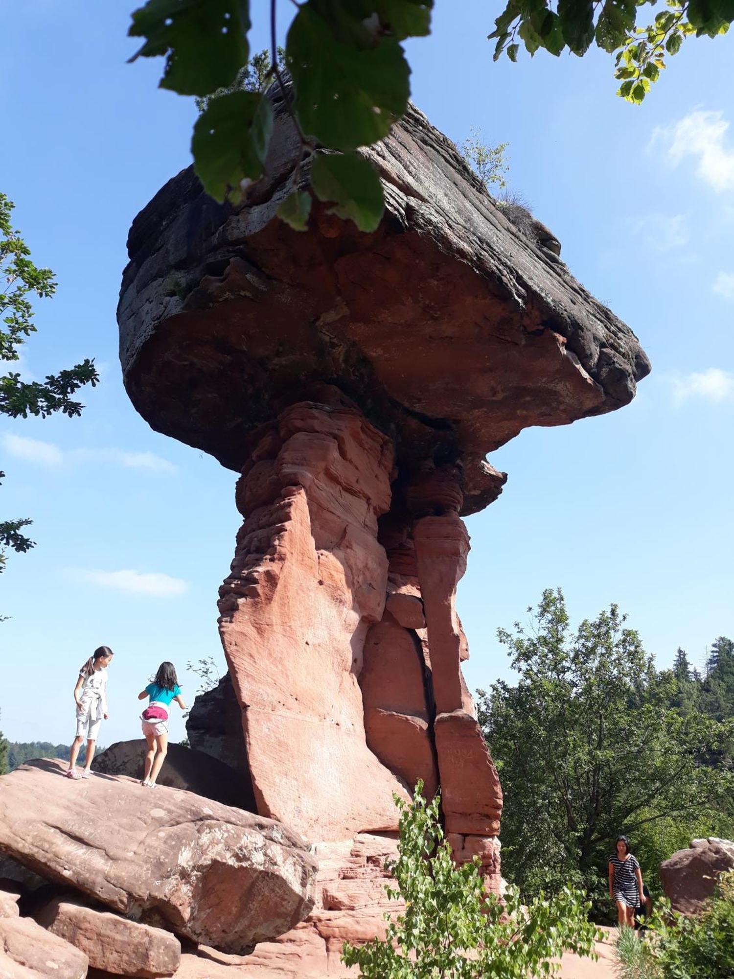 Sabine'S Wellnesslodge Ruppertsweiler Luaran gambar